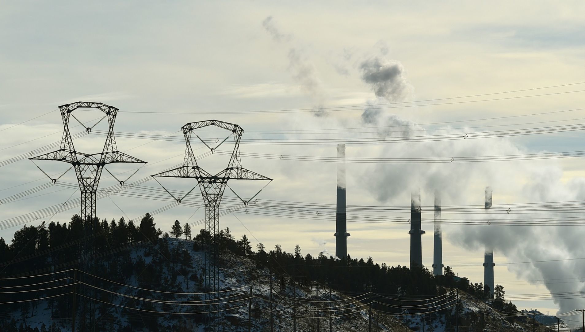 Colstrip power lines